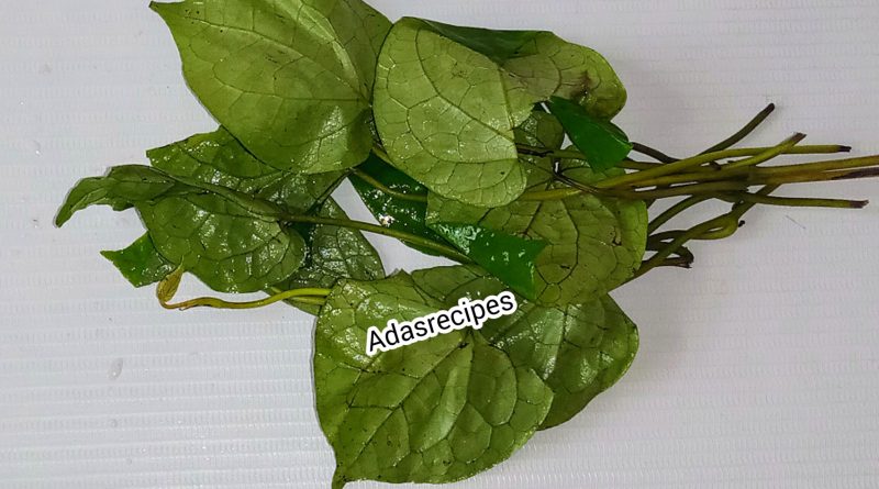 uziza leaf health benefits