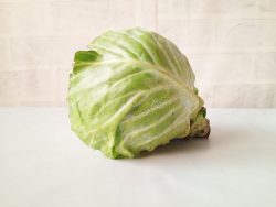Cabbage benefits